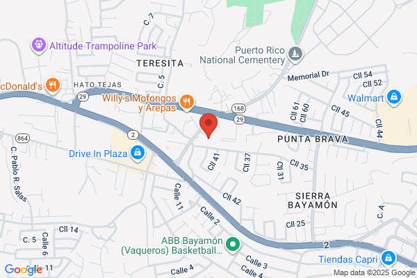Bramah Auto Repair
