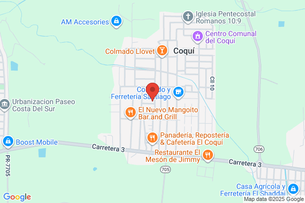 El Coqui Boxing Club
