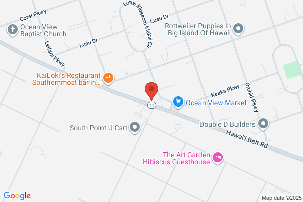 Kahuku Electronics