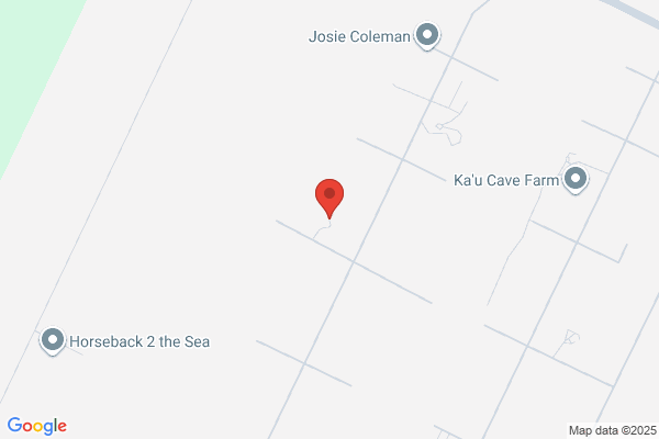 Ocean View Realty