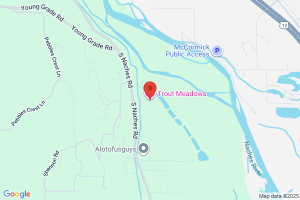Trout Meadows