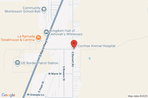 Cochise Animal Hospital