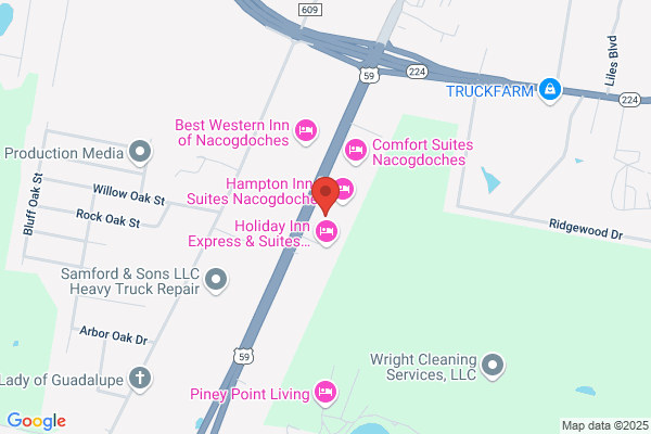 Wayne's Body Shop