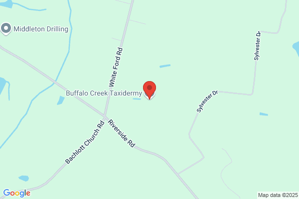 Buffalo Creek Taxidermy