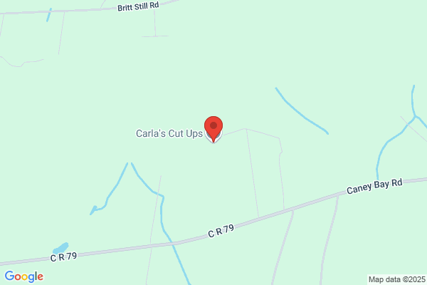 Carlas Cut Ups