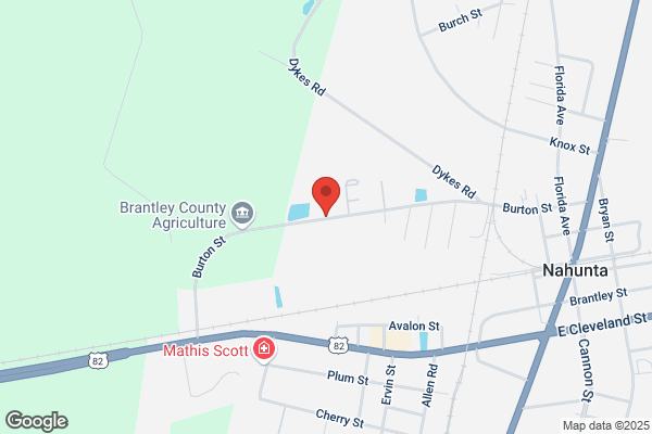 Satilla Area Mental Health