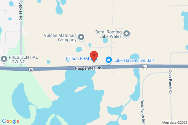 Ellison Rbm Inc