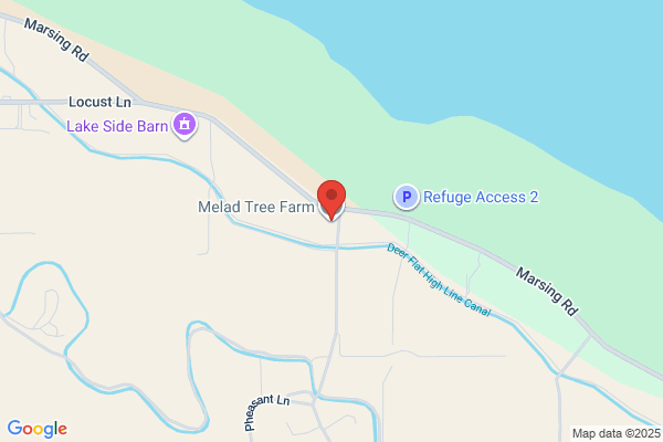 Melad Tree Farm