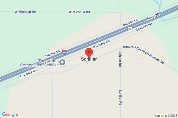 Schiller & Schiller Chartered