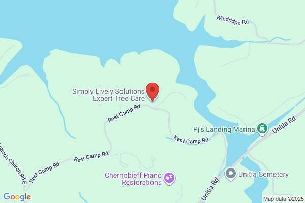 Lively Tree Services