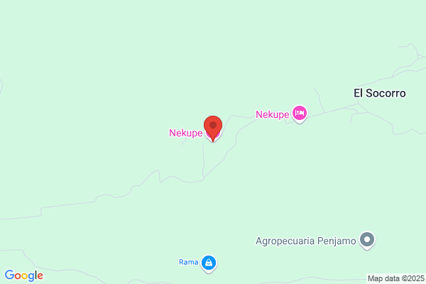 Nekupe