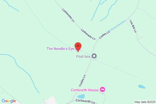 Eye of the Needle