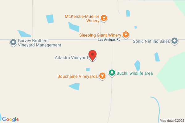 Adastra Vineyards