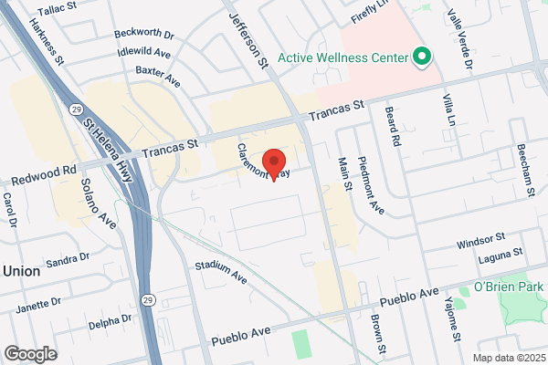 Napa Valley Orthopaedic Medical Group Inc