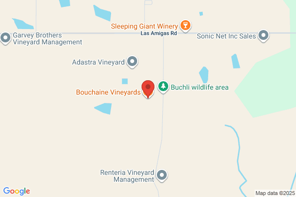 Bouchaine Vineyard