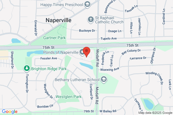 Warrenville Renovation Services