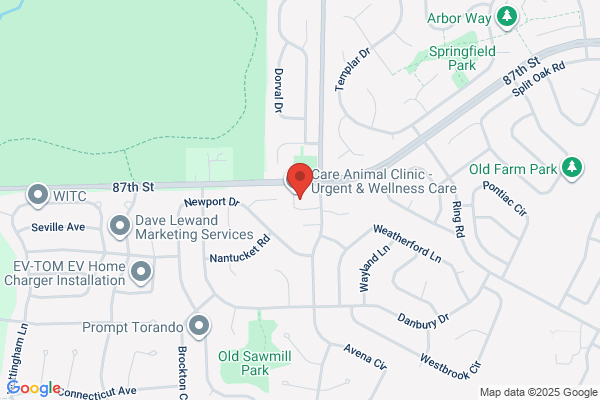 Gallavin Dentistry