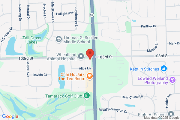 Naperville Asphalt Paving