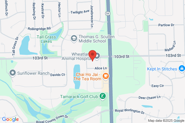 Tall Grass Dental Associates