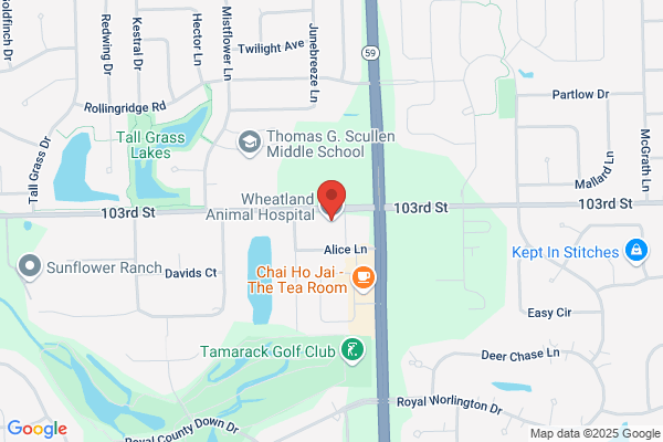 Wheatland Animal Hospital