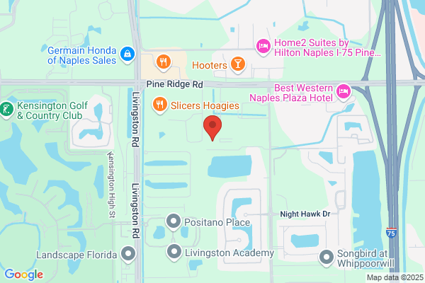 Business Solutions of Naples Inc