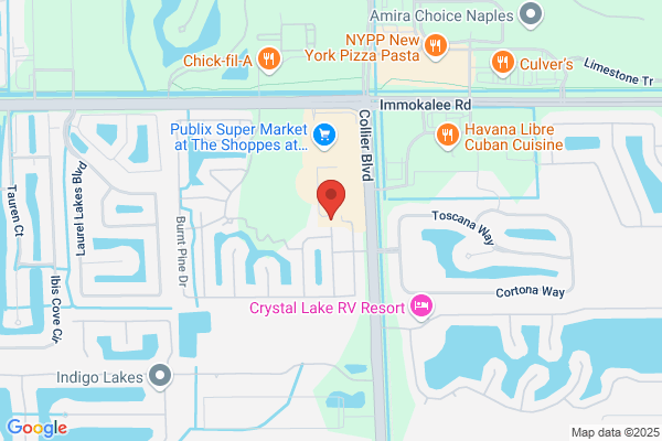 Florida Homes by George