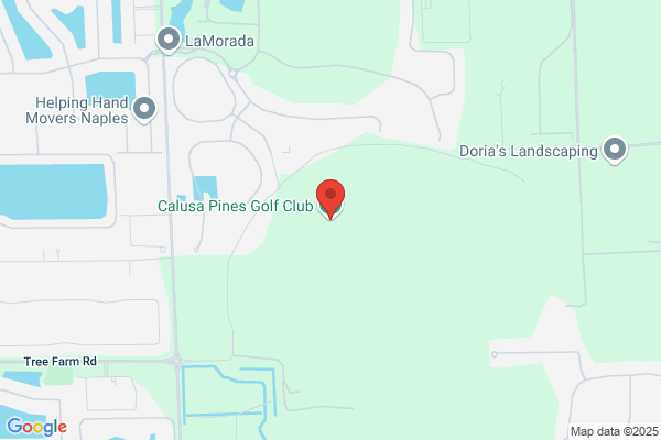 Calusa Pines Golf Club Llc