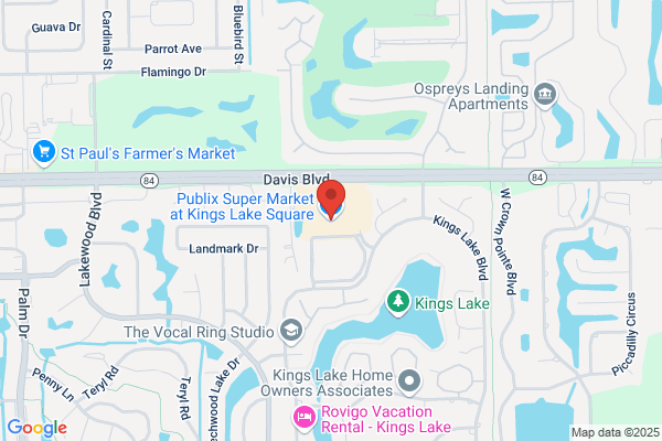 Publix Super Market at Kings Lake Square