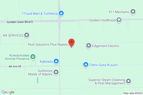 Pestmasters Plus Inc