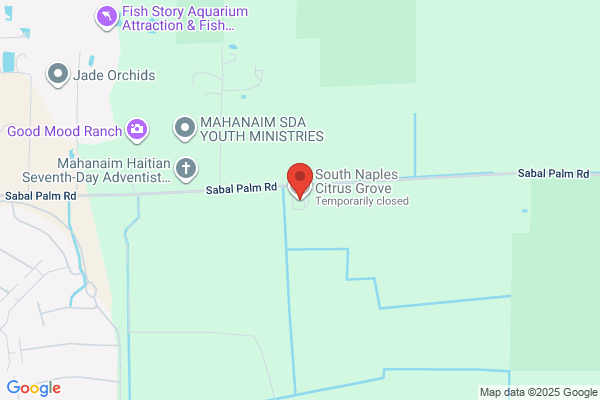 South Naples Citrus Grove