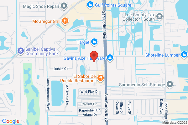 Dolphin Realty