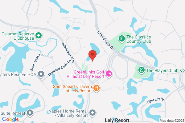 Lely Industries Nv