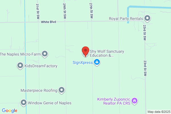 Shy Wolf Sanctuary Education and Experience Center Inc