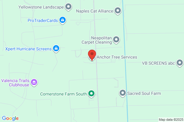 Anchor Tree Service