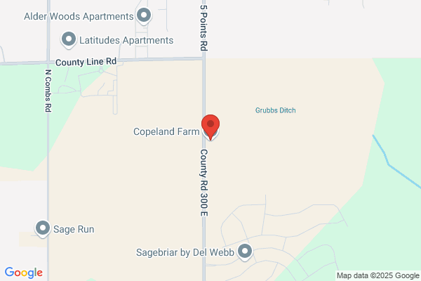 Copeland Farms Inc