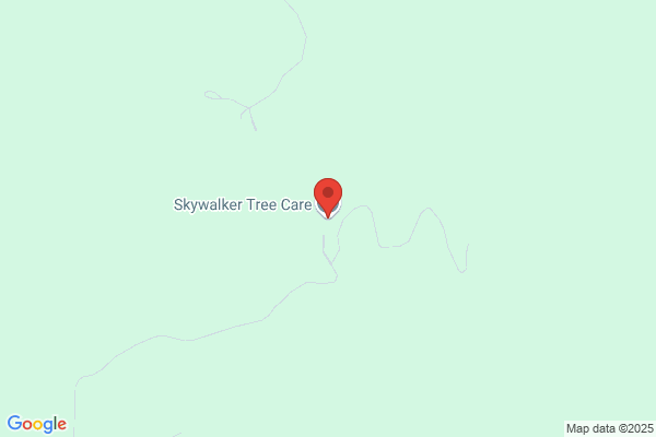 Dirks Tree Care