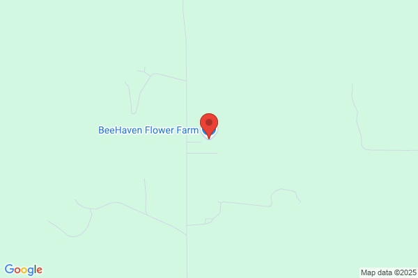 Enchanted Florist the