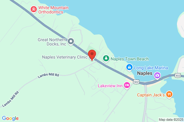 Naples Veterinary Clinic of the Norway Veterinary Hospital, Of the Norway Vet Hospital