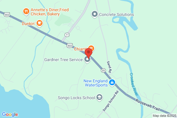 Tree Service Marston's