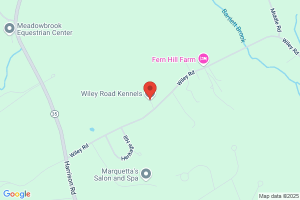 Wiley Road Kennels