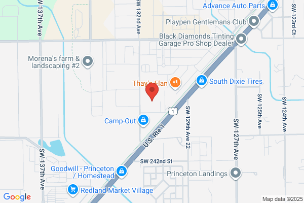 Princeton Professional Services
