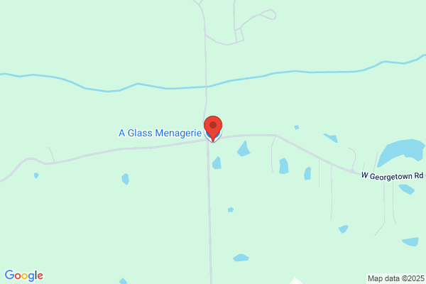 A Glass Menagerie