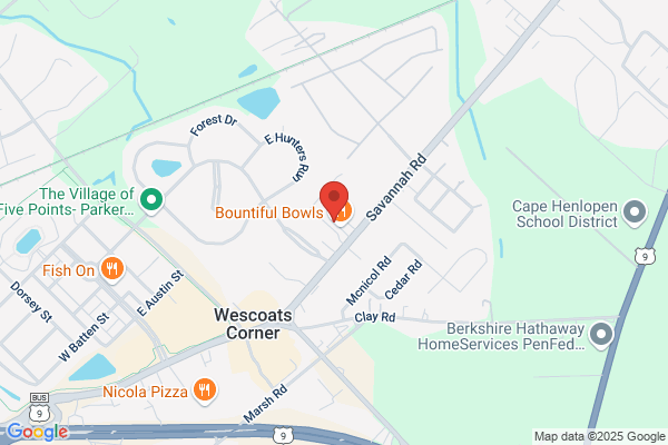 NerdsToGo - Lewes, DE