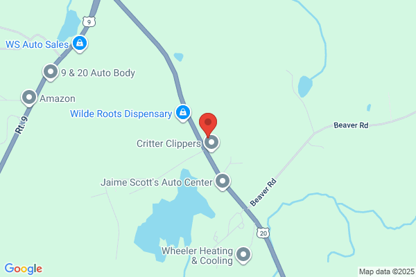 Schodack Septic Svc