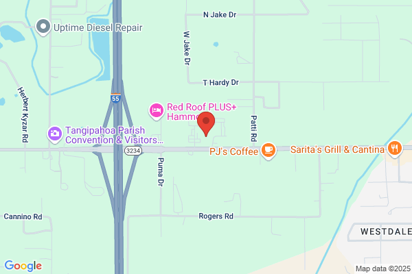 Sonic Drive-In
