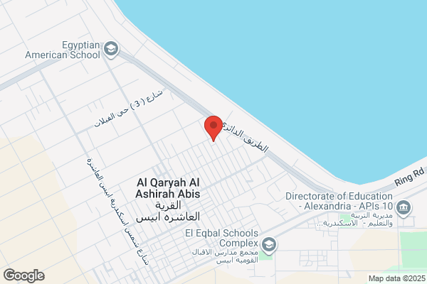 Alex Oil Co