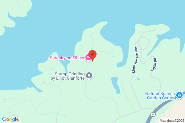 The Travel Place