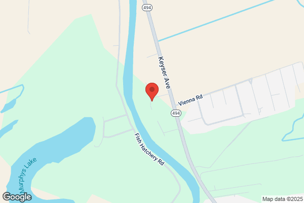 Cane River Tree Farm & Nursery