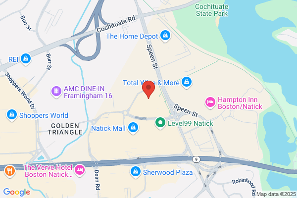 Louis Vuitton Natick