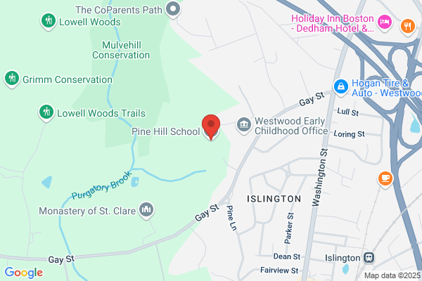Pine Hill School
